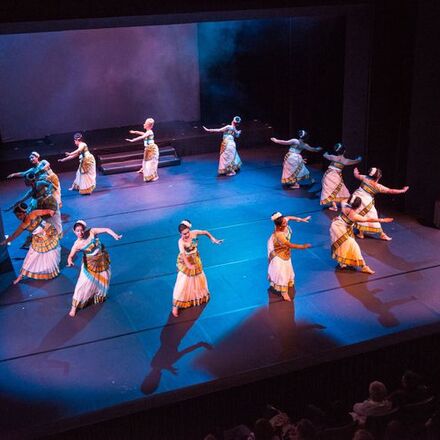 Schwanensee - Meissen (2013)