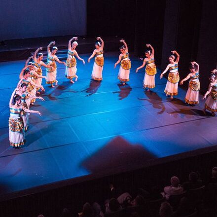 Schwanensee - Meissen (2013)